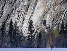 Granite, Yosemite National Park, California.
