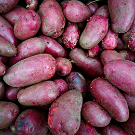red potatos by peter adams.