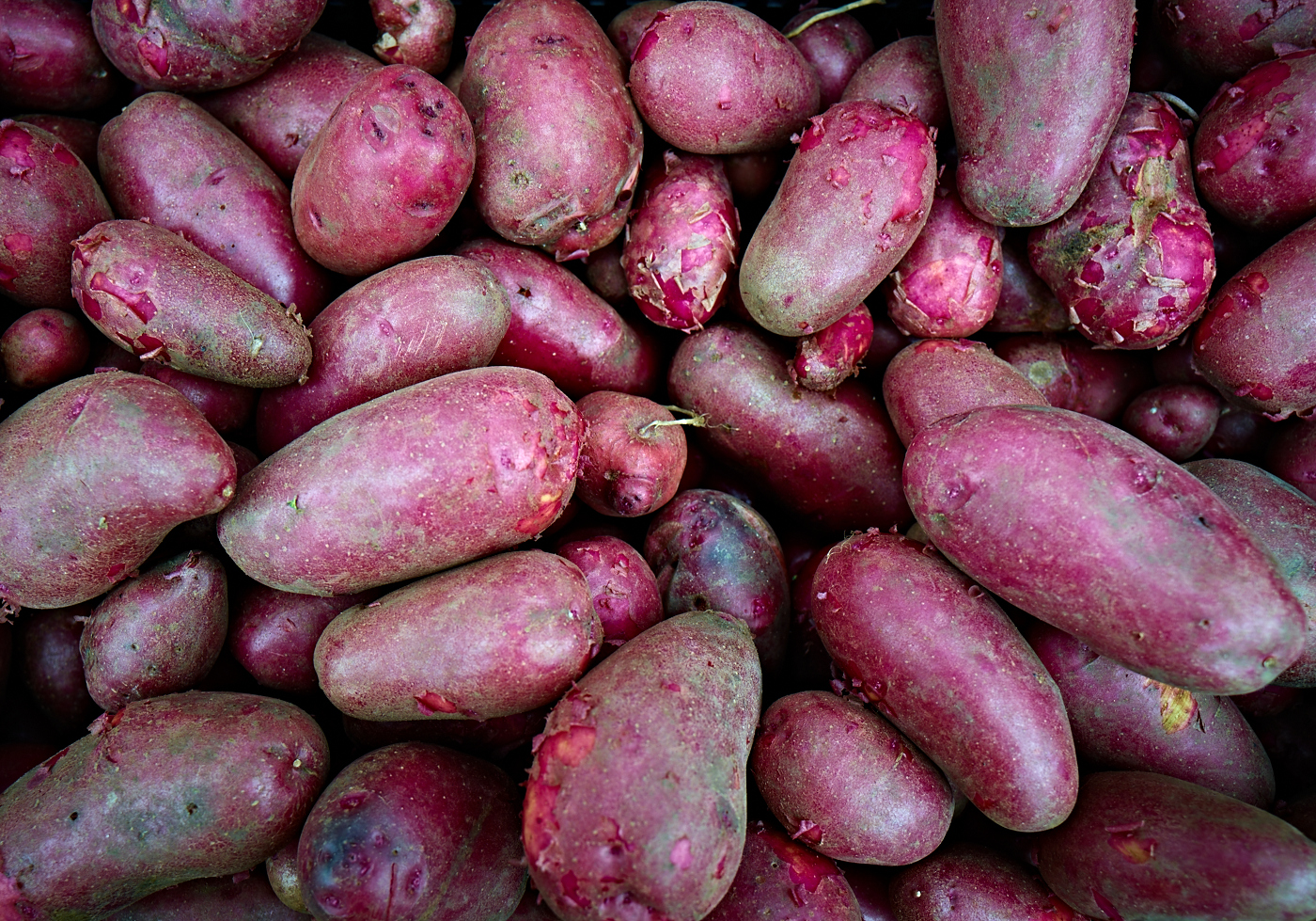 Red Potatos by Peter Adams.