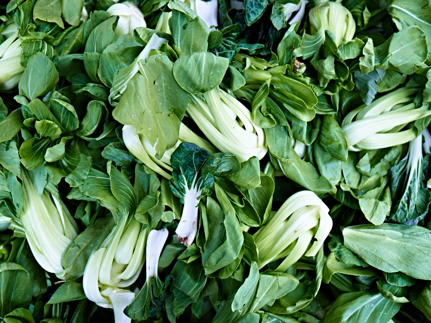 Bok Choy by Peter Adams.