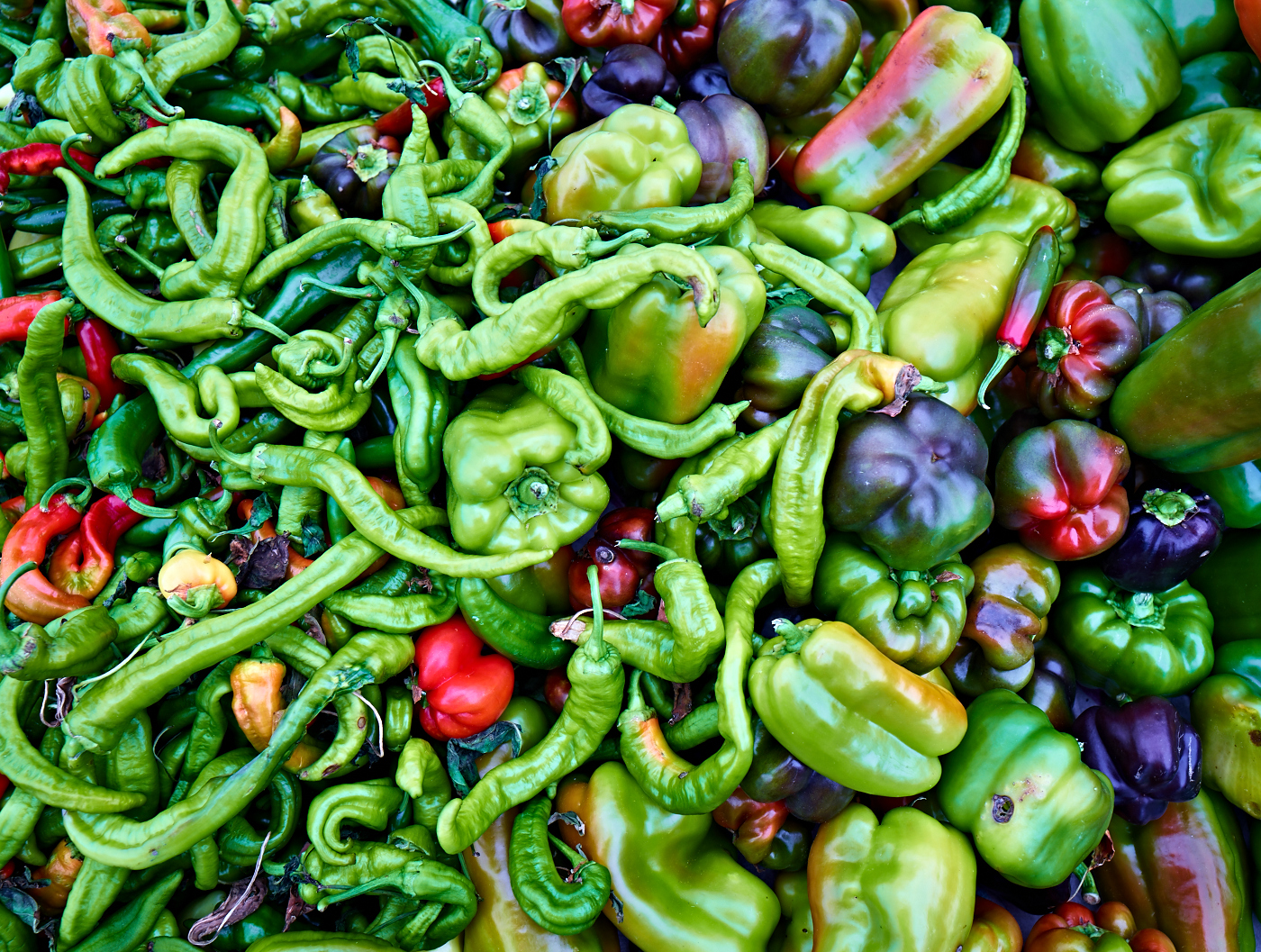 Pepper Swarm by Peter Adams.