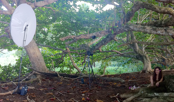 banyan Lighting Setup by .