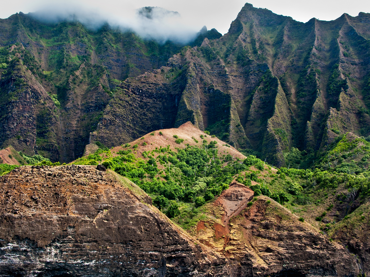 Na Pali Grove by Copyright Peter Adams. All Rights reserved..