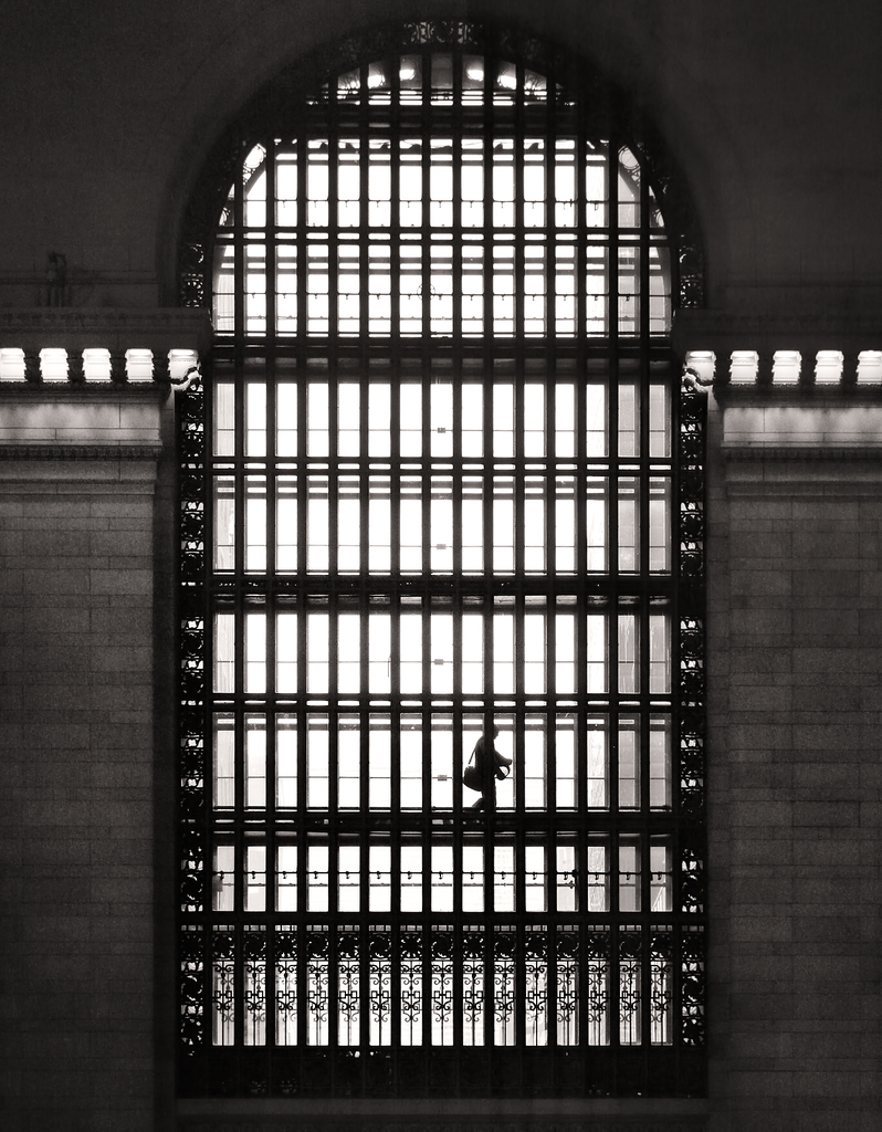 Grand Central Station Commuter by Peter Adams.
