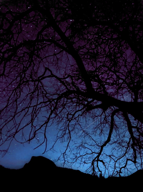 Shooting Star by Peter Adams.