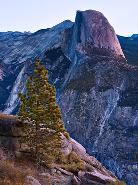 Half Dome Dawn by Peter Adams.