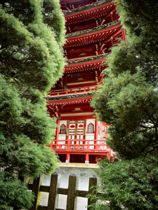 Japanese Tea Garden by Peter Adams.