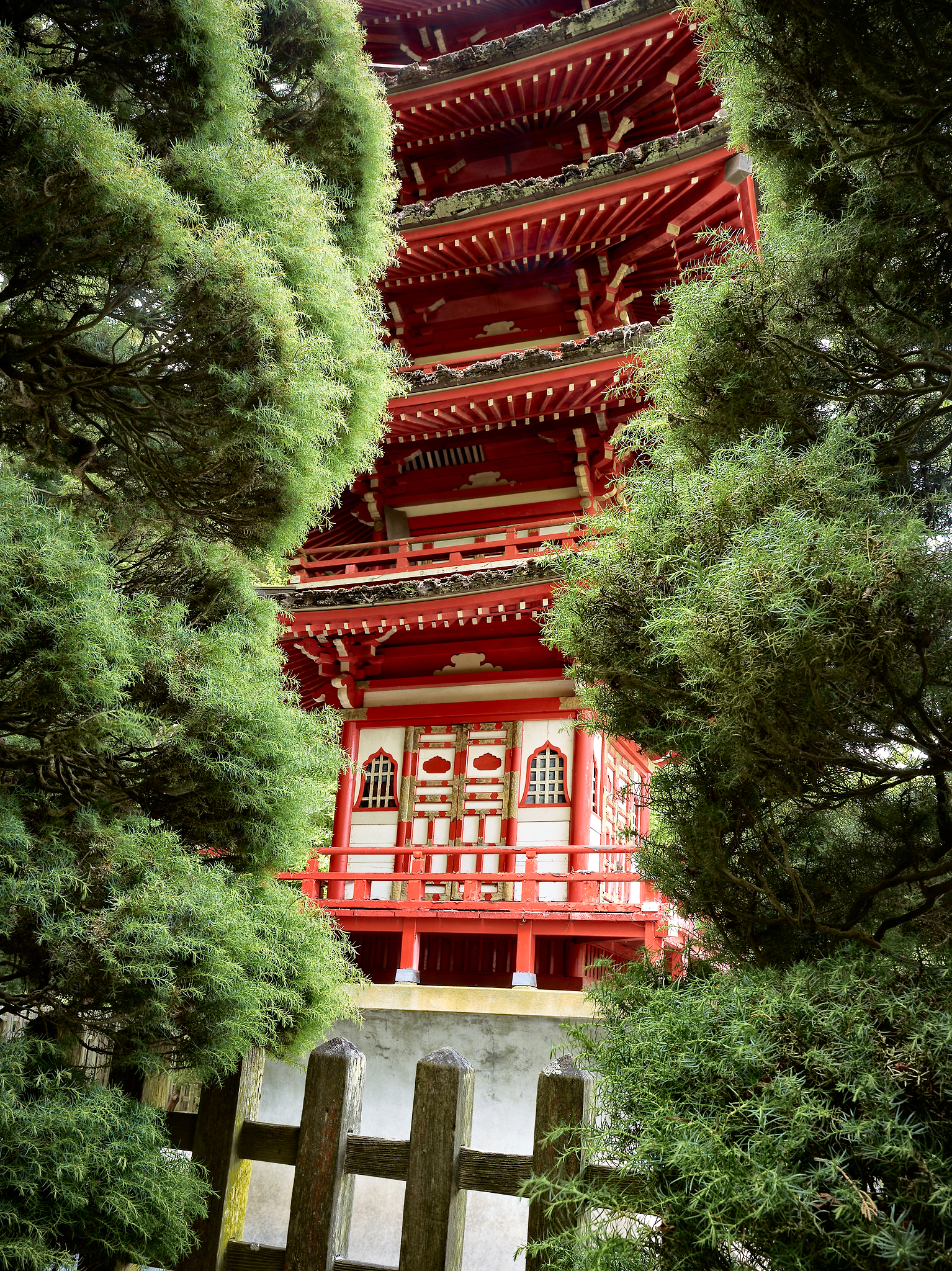 Japanese Tea Garden by Peter Adams.