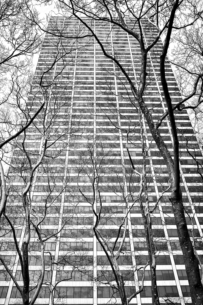 Grace Building by Peter Adams. 