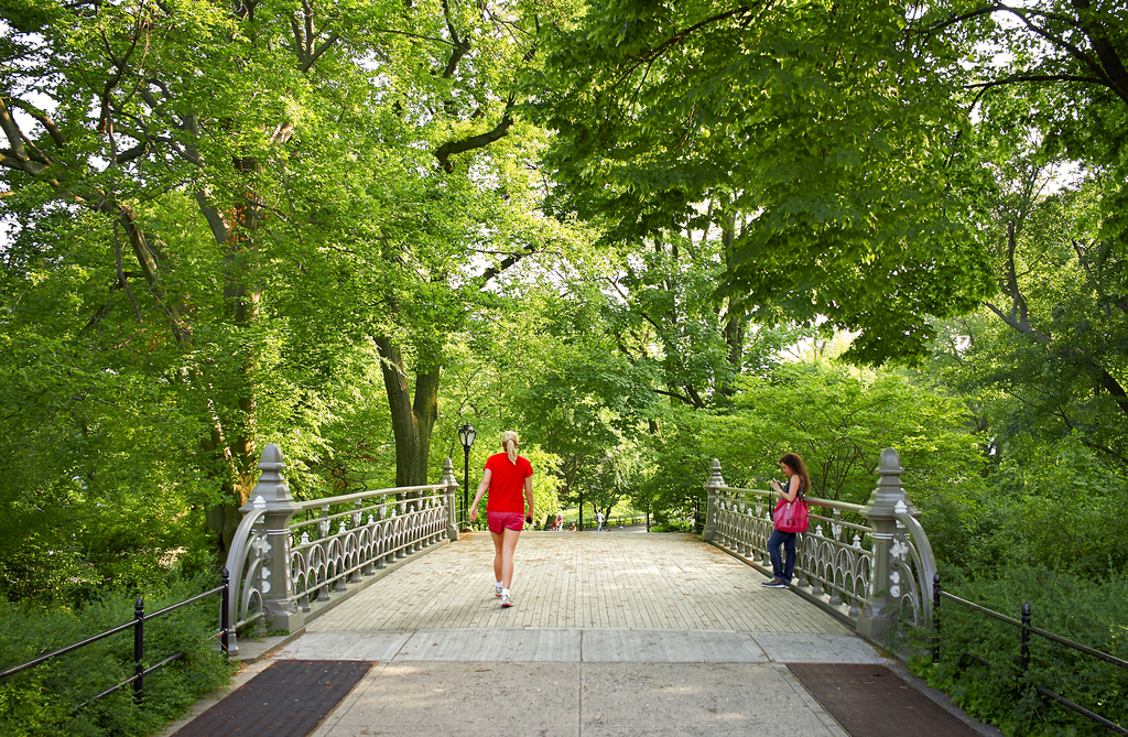 Central Park Spring by Peter Adams. 