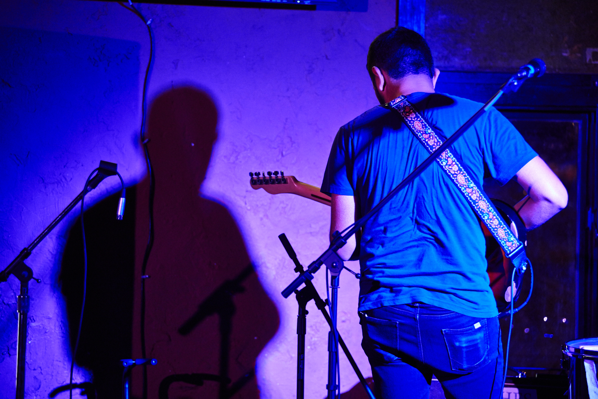 Torches by Peter Adams.