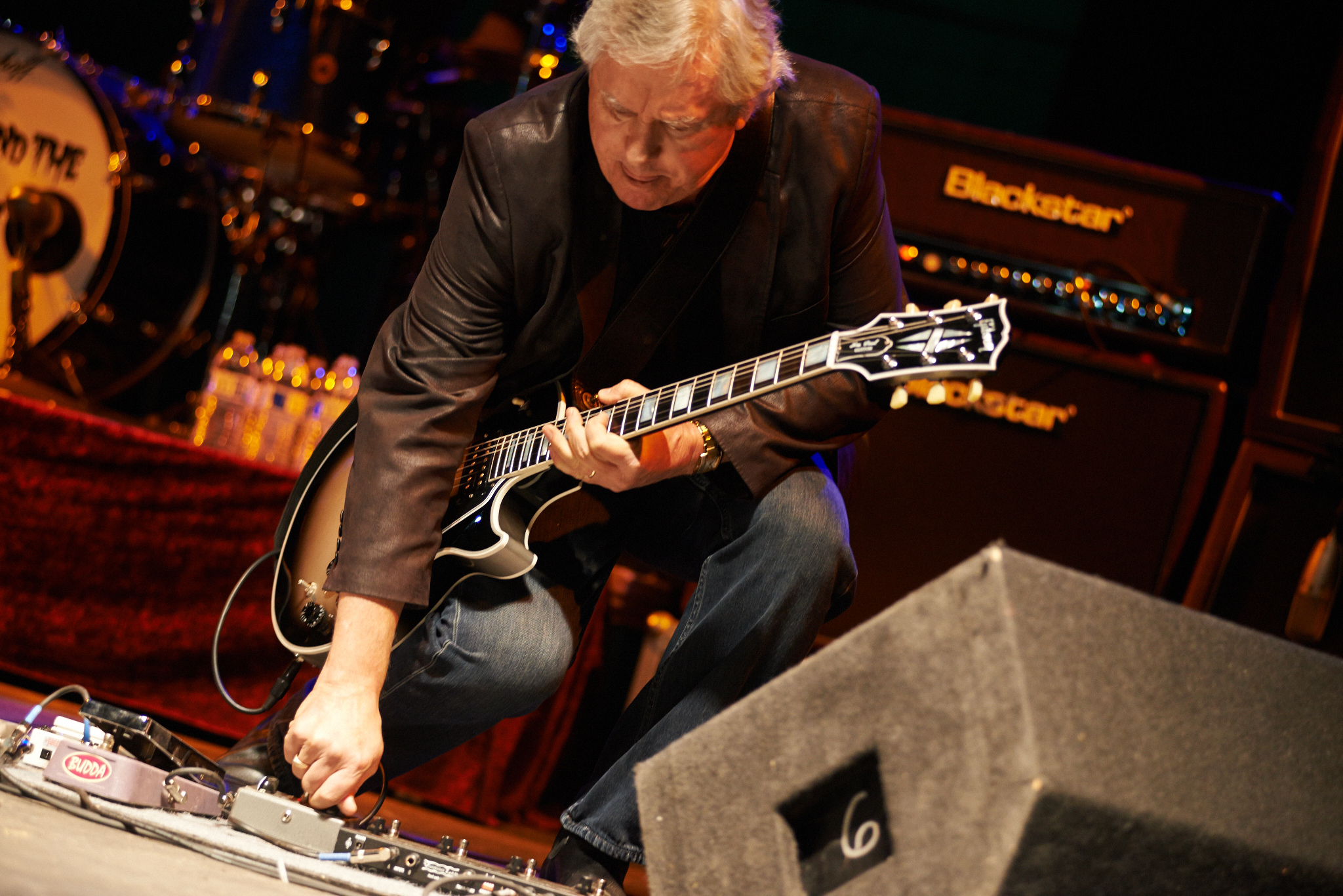 Iggy and The Stooges by Peter Adams.