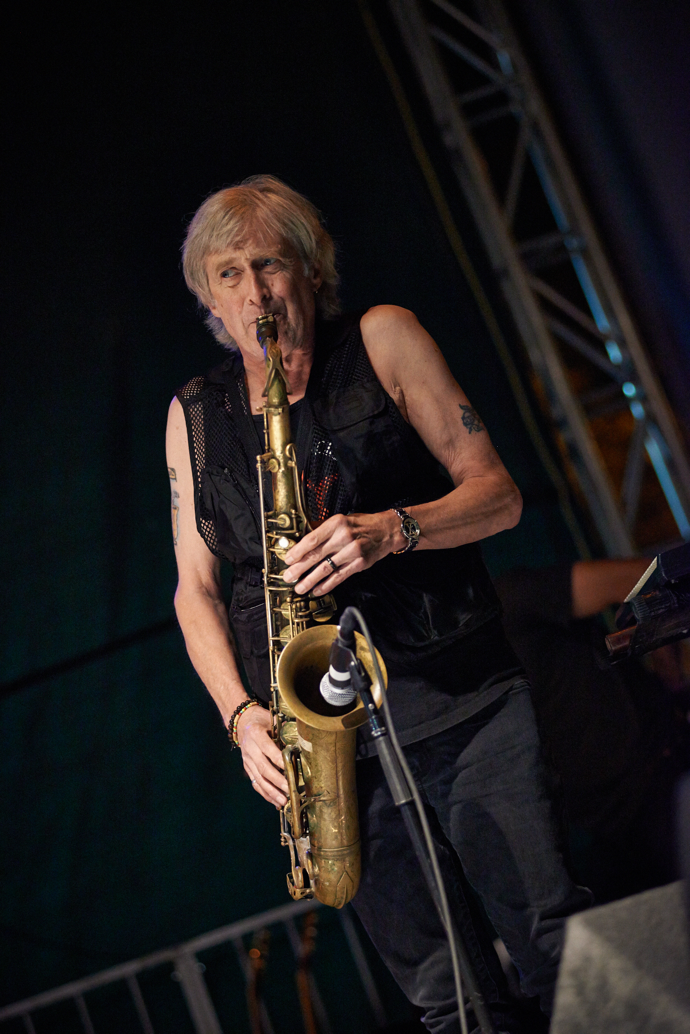 Iggy and The Stooges by Peter Adams.