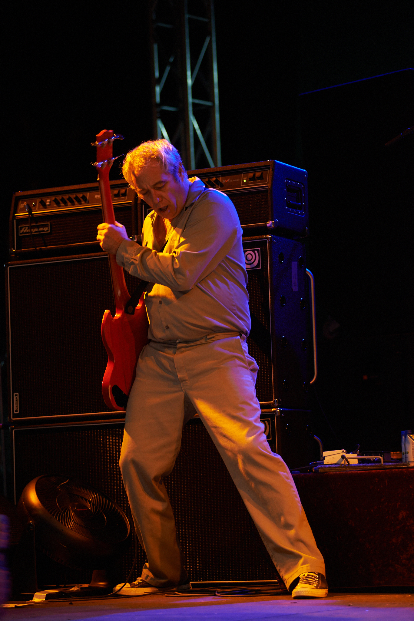 Iggy and The Stooges by Peter Adams.