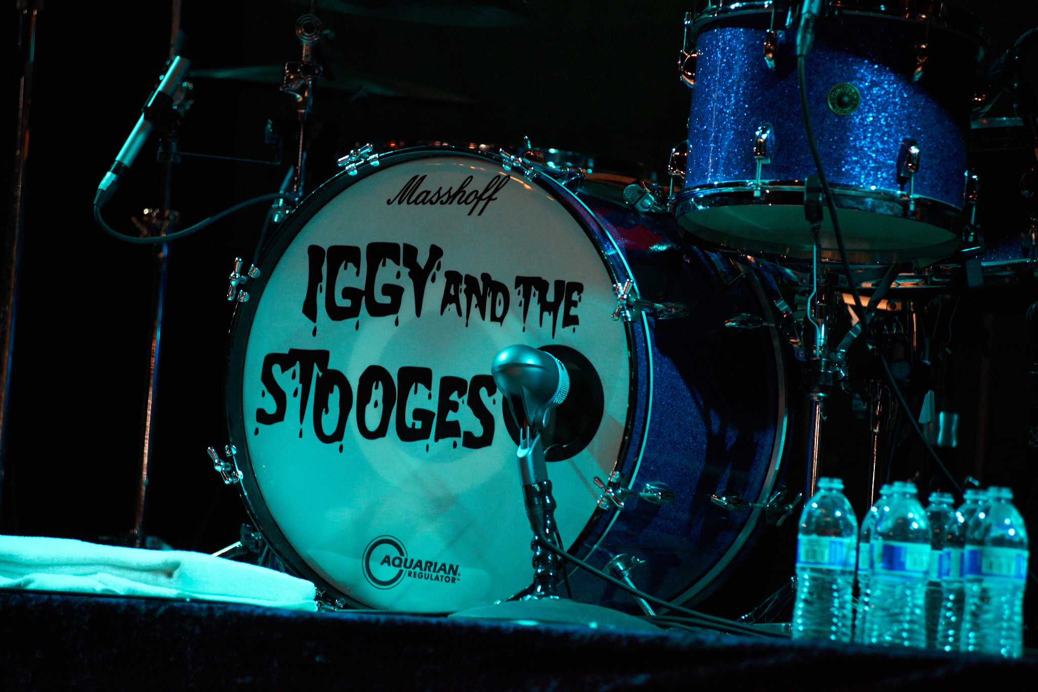 Iggy and The Stooges by Peter Adams.