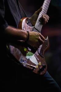 Claw Hammer by Peter Adams.