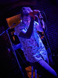 The Limousines by Peter Adams.