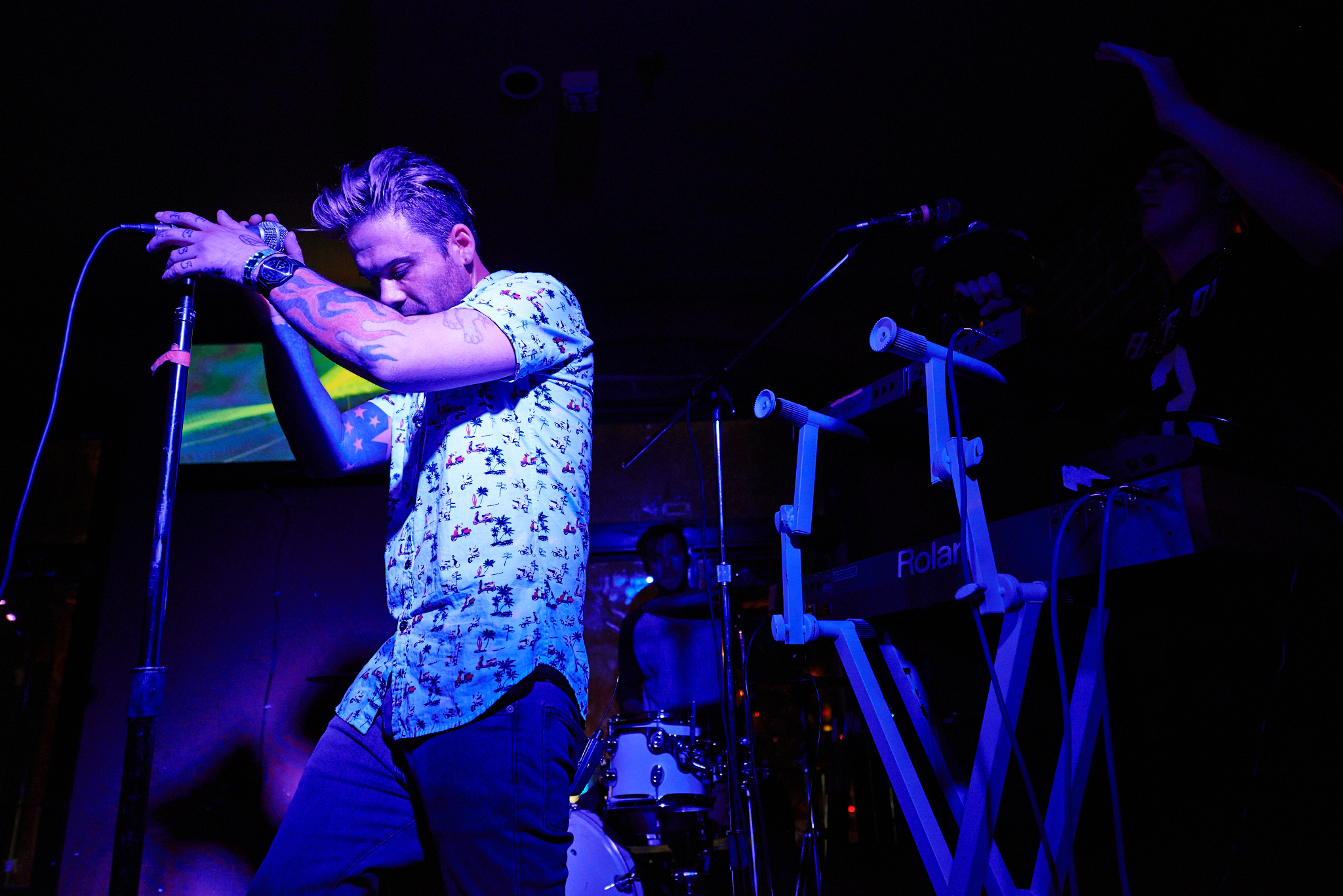 The Limousines by Peter Adams.