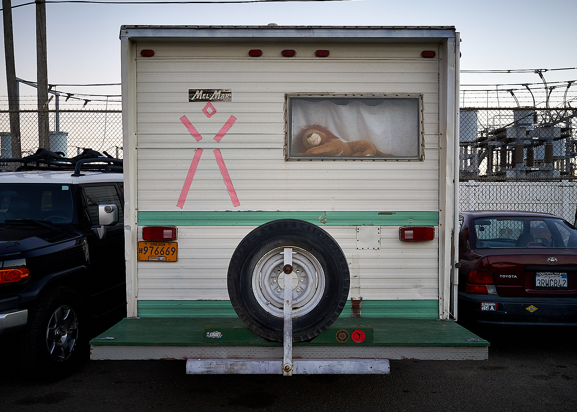 Sleeping Lion by Peter Adams.