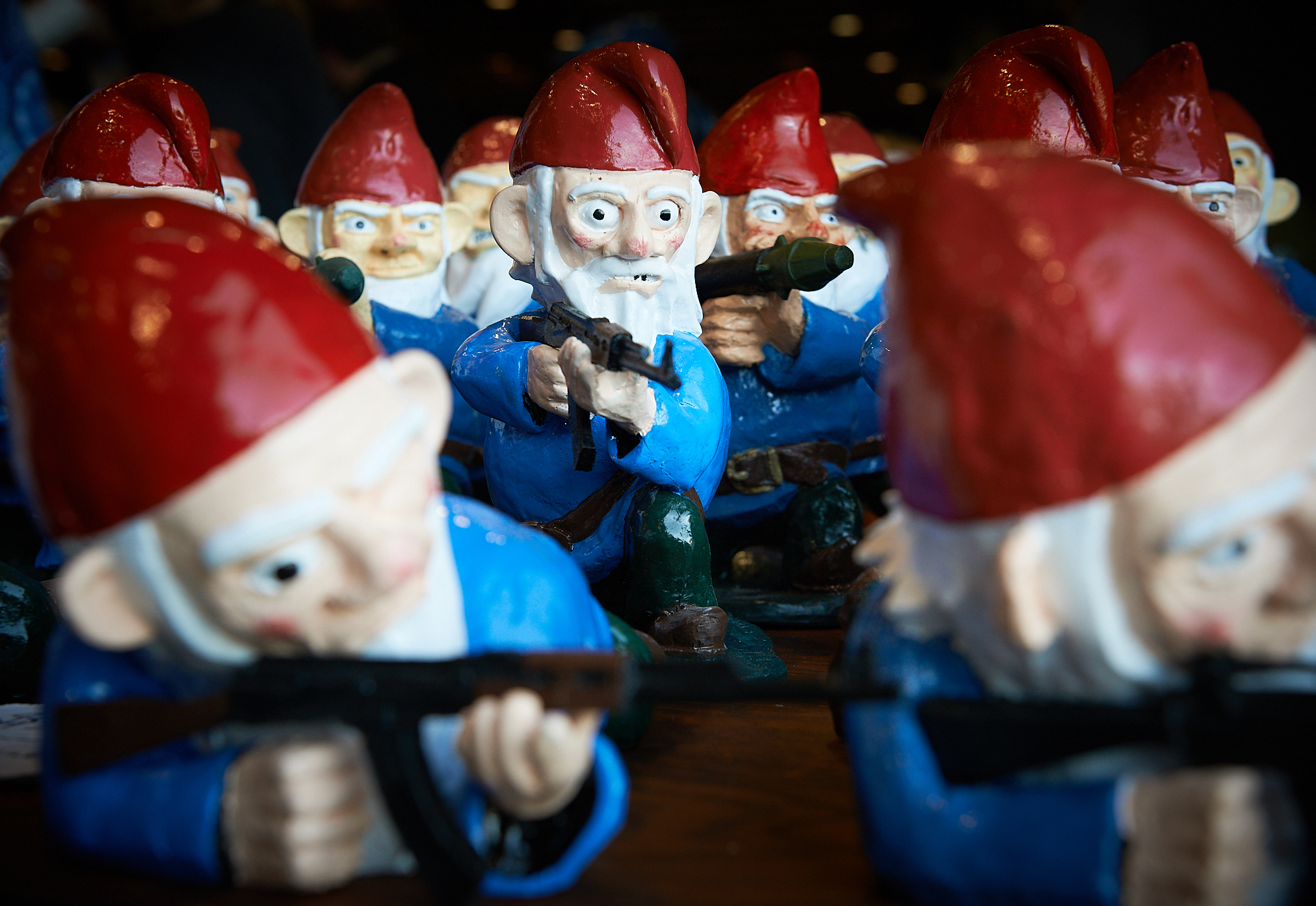 Combat Garden Gnomes by Peter Adams.