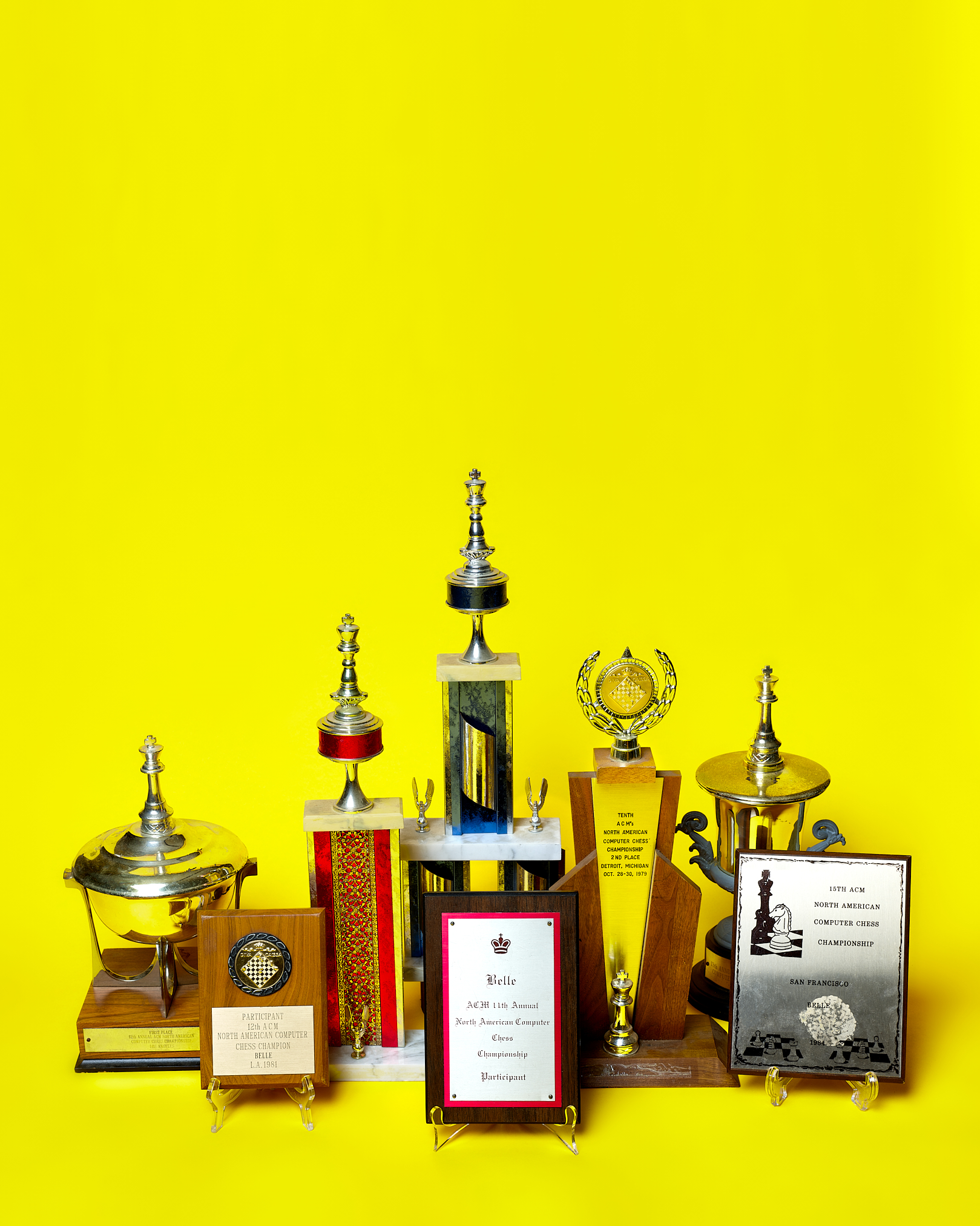Chess Competition Awards by Peter Adams.