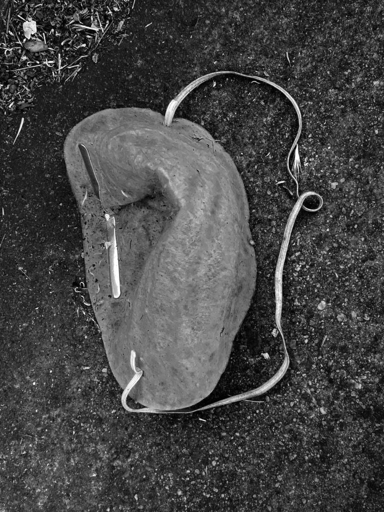 [photoshop:Headline]. [photopress:stringOfKeywords].