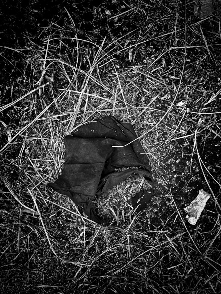 Mask on Pine Needles. covid, pandemic, mask.