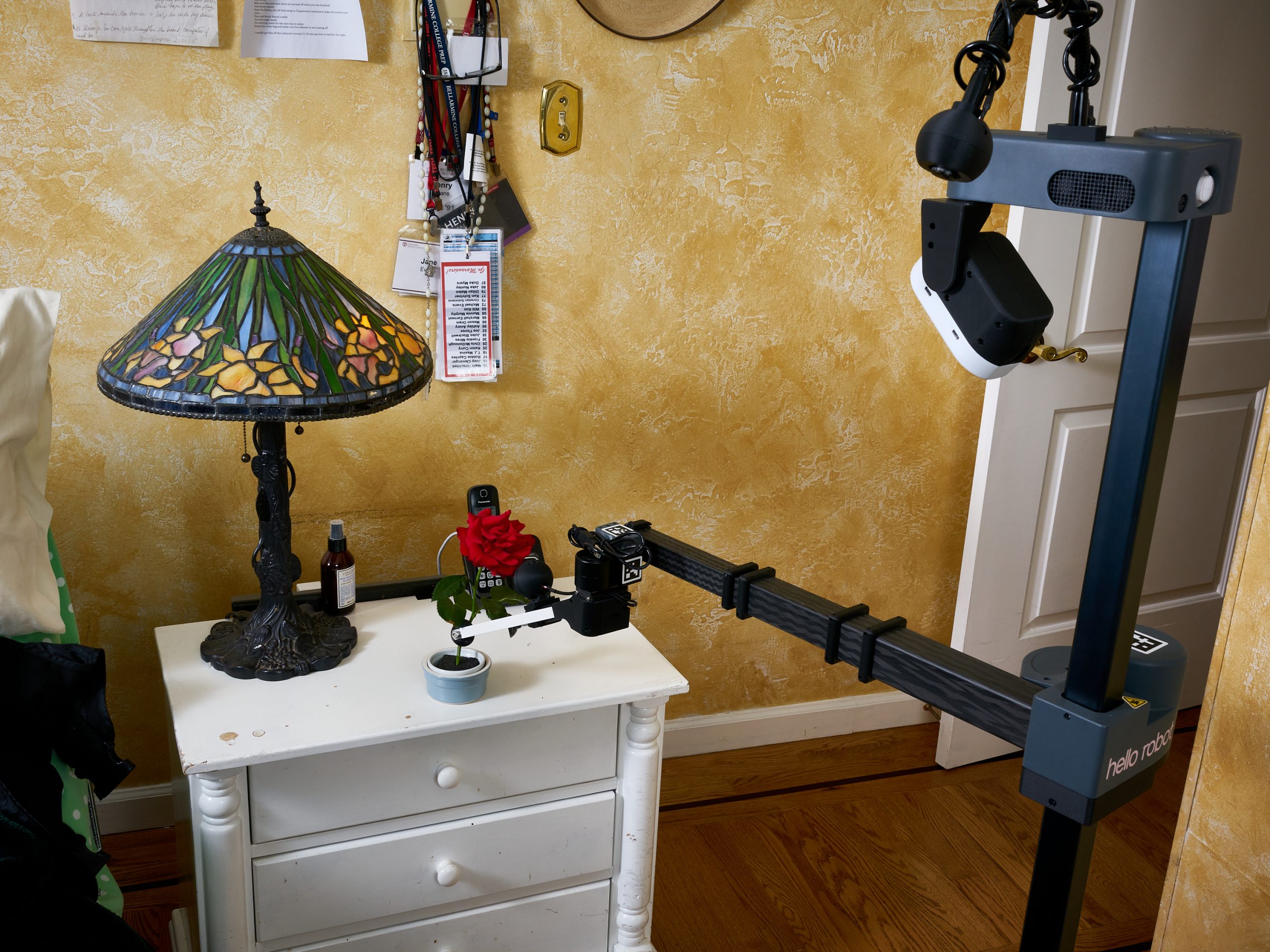 Stretching to Pick a Rose. Stretch RE1, caregiver, disability, research, robot, robotics.