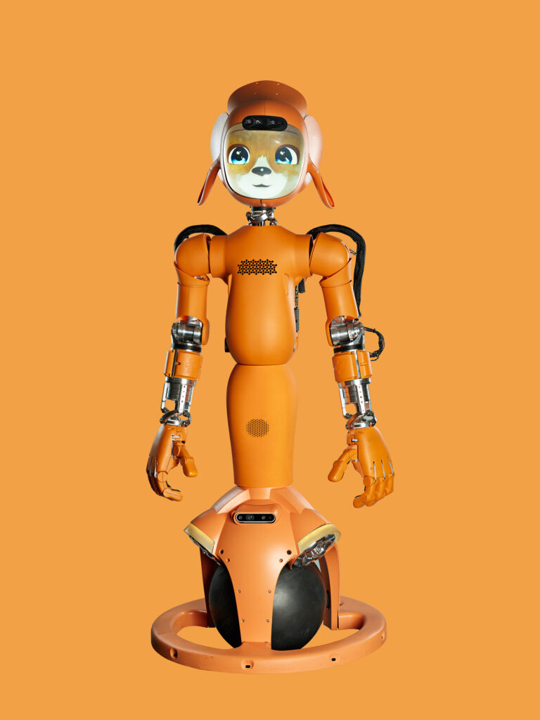 Mirokaï. humanoid, robot.