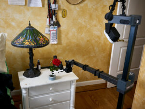 Stretching to Pick a Rose. Stretch RE1, caregiver, disability, research, robot, robotics, flower, rose.