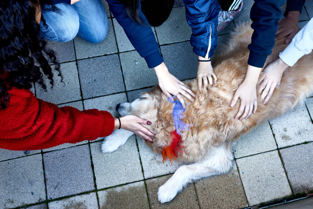 TreeHacks Hackathon. hackathon, silicon valley, tech, computer programming, tech culture.