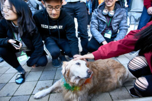 TreeHacks Hackathon. hackathon, silicon valley, tech, computer programming, tech culture.