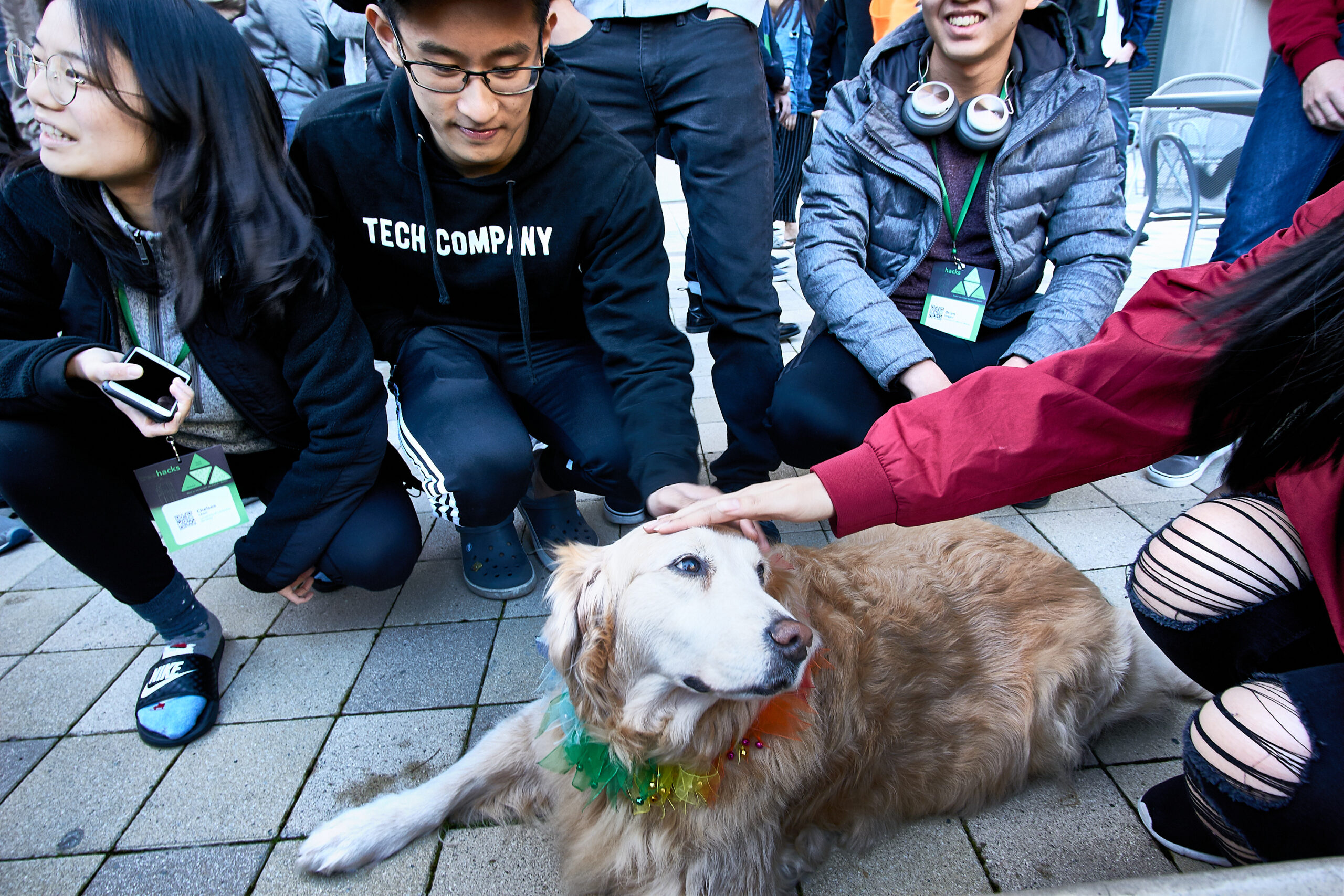 TreeHacks Hackathon. hackathon, silicon valley, tech, computer programming, tech culture.