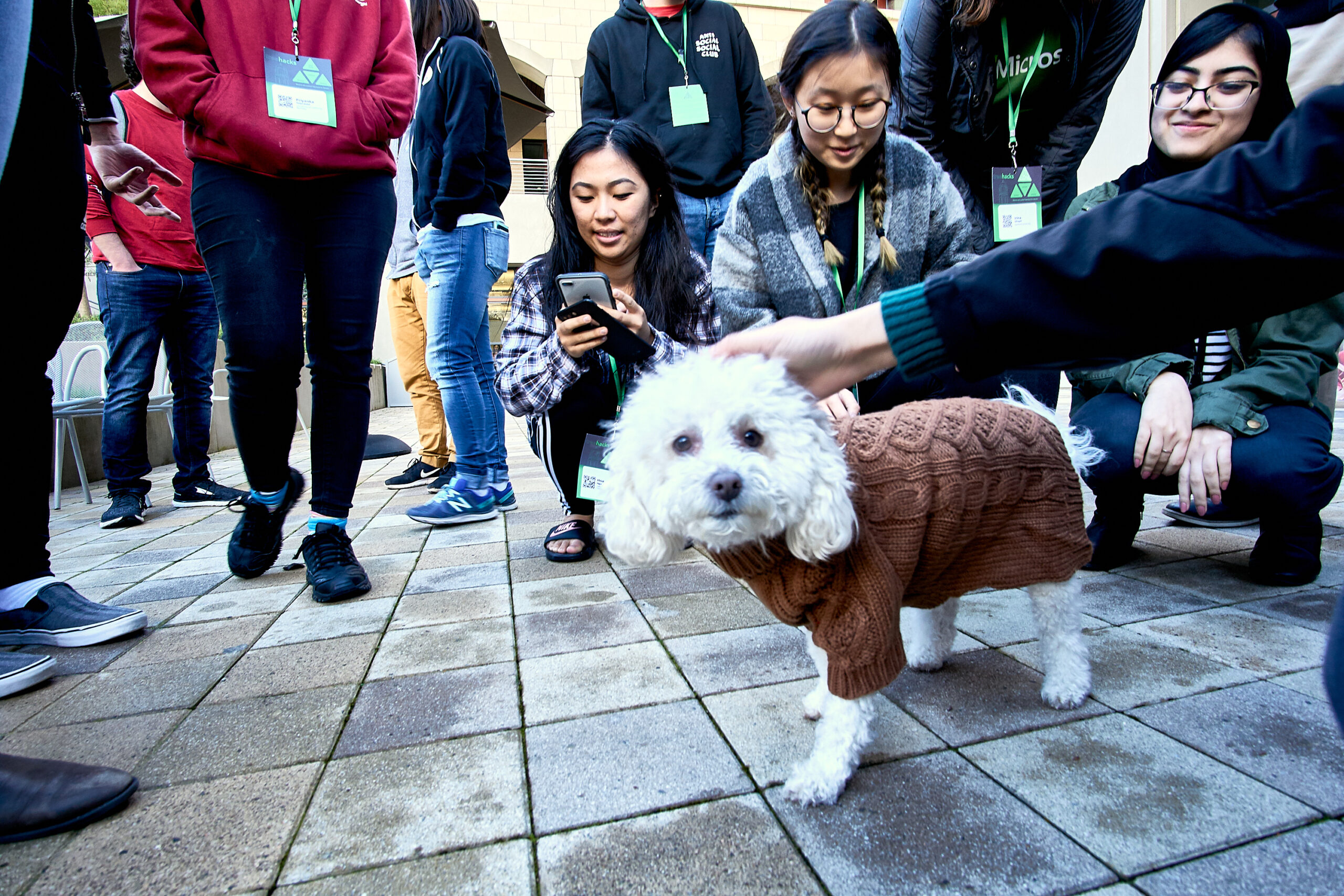 TreeHacks Hackathon. hackathon, silicon valley, tech, computer programming, tech culture.